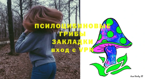 эйфоретик Абаза