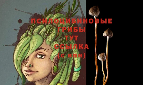 эйфоретик Абаза