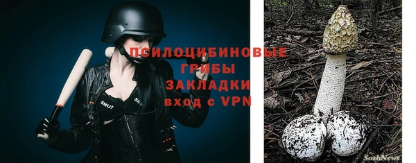 винт Осташков